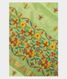 green-linen-embroidery-saree-t217565-t217565-a