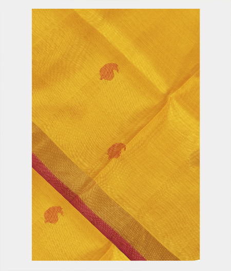 Yellow Uppada Silk Saree T211279-image