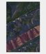 Peacock Blue Uppada Silk Saree T688531
