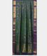 Peacock Blue Uppada Silk Saree T688532