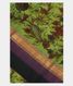 Green Handpainted Kalamkari Soft Silk Saree T1968631