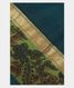 Blue Handpainted Kalamkari Soft Silk Saree T1636181