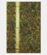 Blue Handpainted Kalamkari Soft Silk Saree T1636183