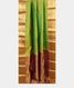 Green Soft Silk Saree T2116212