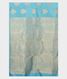 Blue Handwoven Kanjivaram Silk Saree T2009264