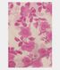 light-pink-chiffon-printed-silk-sareet221795-t221795-a