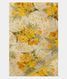yellow-chiffon-printed-silk-saree-t221801-t221801-a