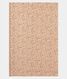 Off-White Cashmere Kani Silk Saree T2267403