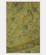 light-green-chiffon-printed-silk-saree-t14788-t14788-a