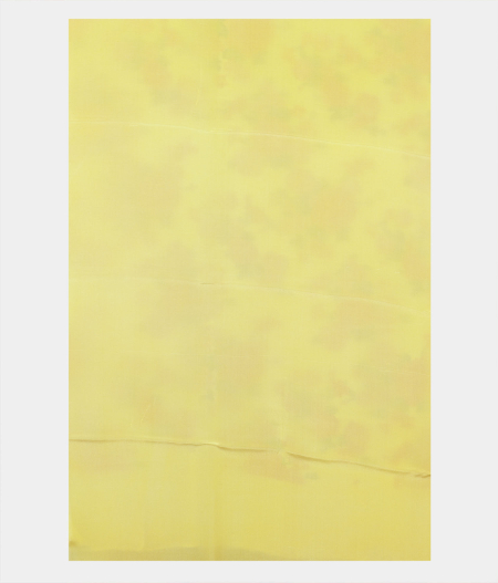 yellow-chiffon-printed-silk-saree-t144872-t144872-c