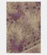 grey-chiffon-printed-silk-saree-t221791-t221791-a