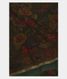 dark-green-chiffon-printed-silk-saree-t224140-t224140-a