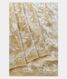 Beige Tussar Kantha Work Saree T2265701