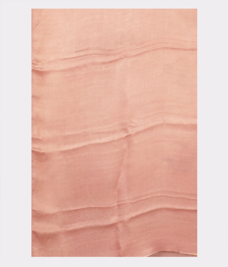 light-pink-chiffon-printed-silk-saree-t226179-t226179-c