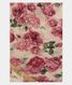 cream-chiffon-printed-silk-saree-t226184-t226184-a