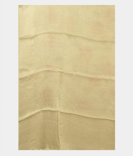 yellow-chiffon-printed-silk-saree-t226185-t226185-c