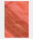 Peach Banarasi Tissue Silk Saree T219233-image