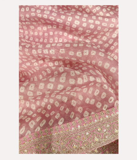 Peach Kora Organza Printed Saree  T2276112