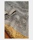 Greyish Blue Kora Organza Printed Saree  T2276021