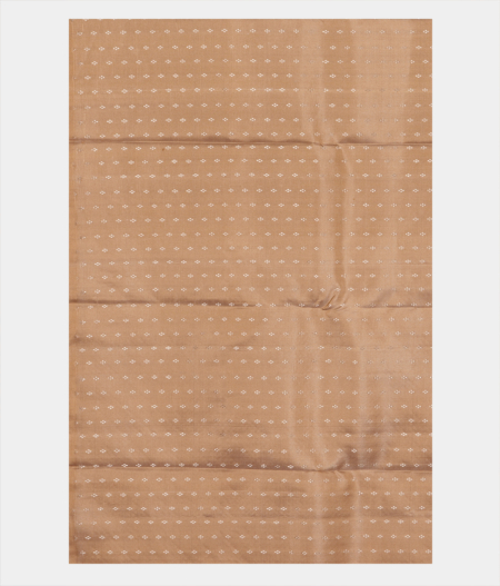 Beige Handwoven Kanjivaram Silk Saree T2240843