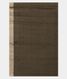 Beige Raw Silk Saree T1686043