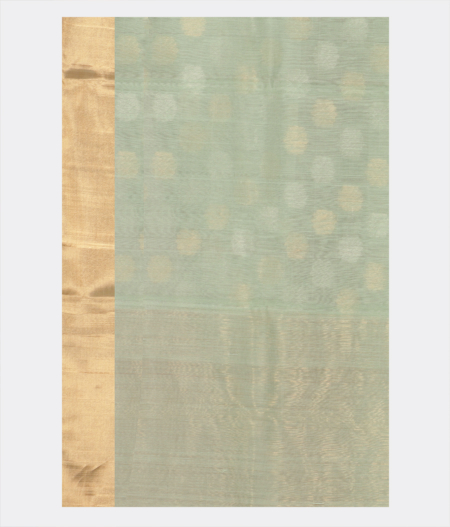 Mint Green Chanderi Silk Saree T2269363