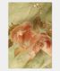 light-green-linen-printed-saree-t227540-t227540-b