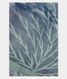 Blue Printed Raw Silk Saree T2202321