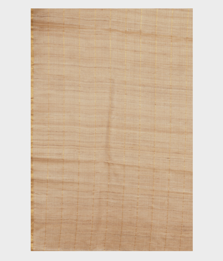 beige-tussar-embroidery-saree-t183527-t183527-d