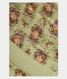 Light Green Organza Printed Saree  T2218401
