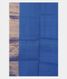 Blue Woven Raw Silk Saree T1184213
