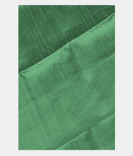 Greenish Blue Raw Silk Saree-image
