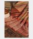 MultiColour Tussar Printed Saree  T2273211