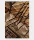 Multicolour Tussar Printed Saree T2273031