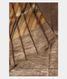 Multicolour Tussar Printed Saree T2273032