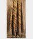 Multicolour Tussar Printed Saree T2273034