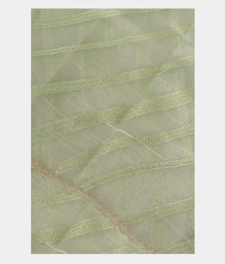 Light Green Kora Organza Embroidery Saree T223869-image