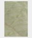 Light Green Kora Organza Embroidery Saree T2238691