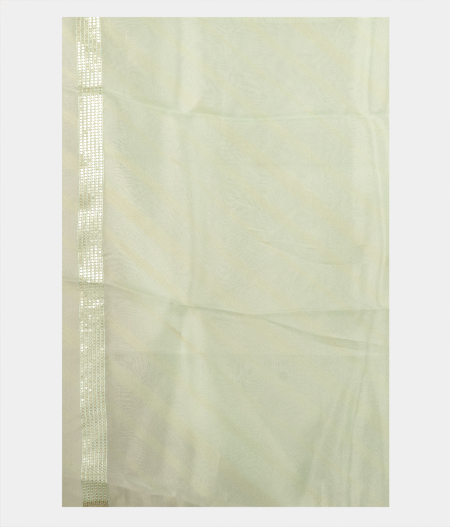 Light Green Kora Organza Embroidery Saree T2238693