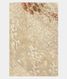 Beige  Kora Organza Embroidery Saree  T2138601