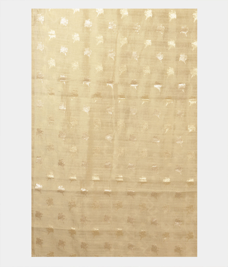 Beige  Kora Organza Embroidery Saree  T2138603