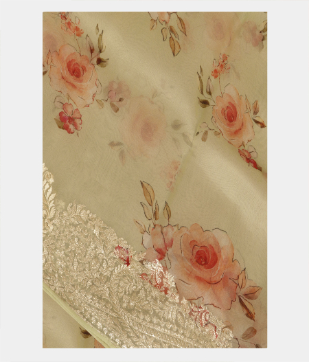 Light Green Kora Organza Embroidery Saree T224891-image