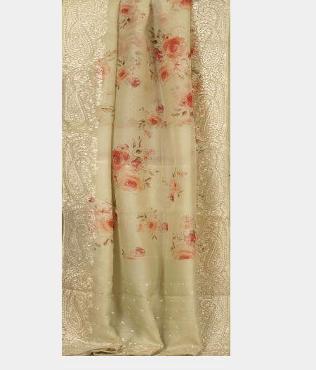 Light Green Kora Organza Embroidery Saree T2248912