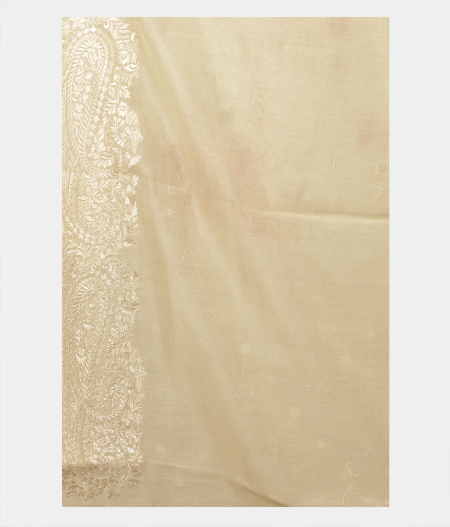 Light Green Kora Organza Embroidery Saree T2248913