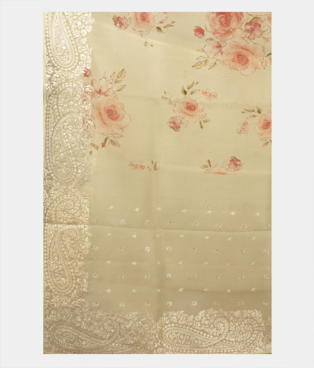 Light Green Kora Organza Embroidery Saree T2248914