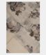 Grey Tussar Kota Saree T2233831