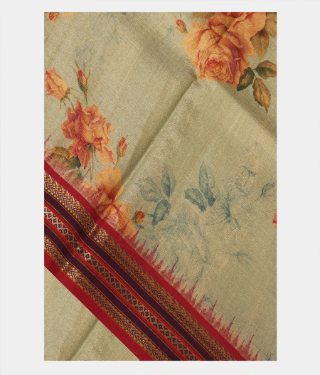 Light Green Vidarbha Tussar Saree T227355-image