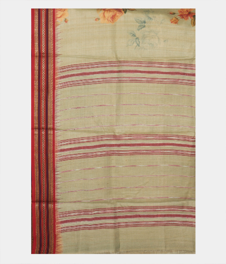 Light Green Vidarbha Tussar Saree T2273554