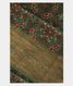 Bottle Green  Tussar Printed Saree T2286571