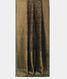 Bottle Green  Tussar Printed Saree T2286572